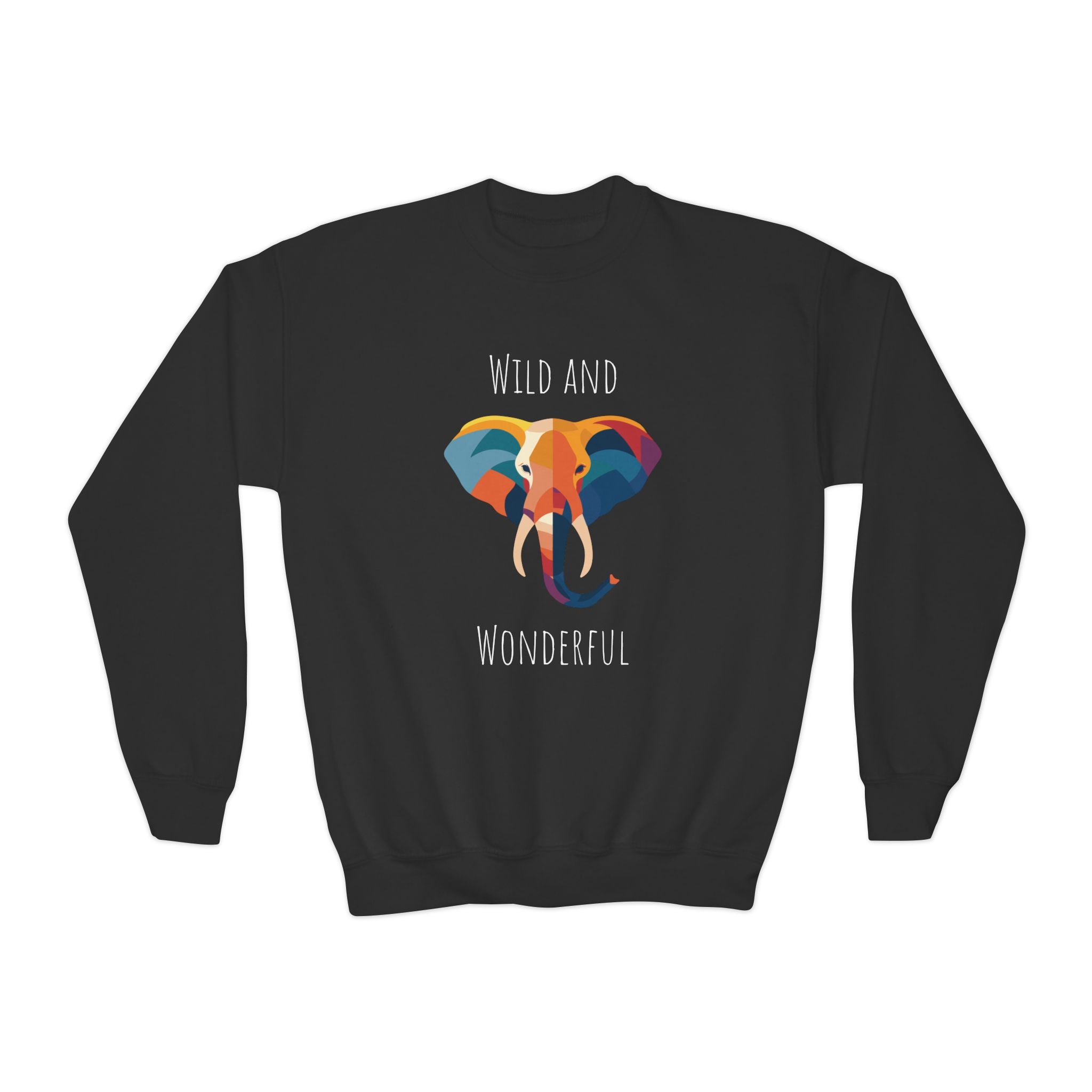 Wild and Wonderful Youth Crewneck Sweatshirt
