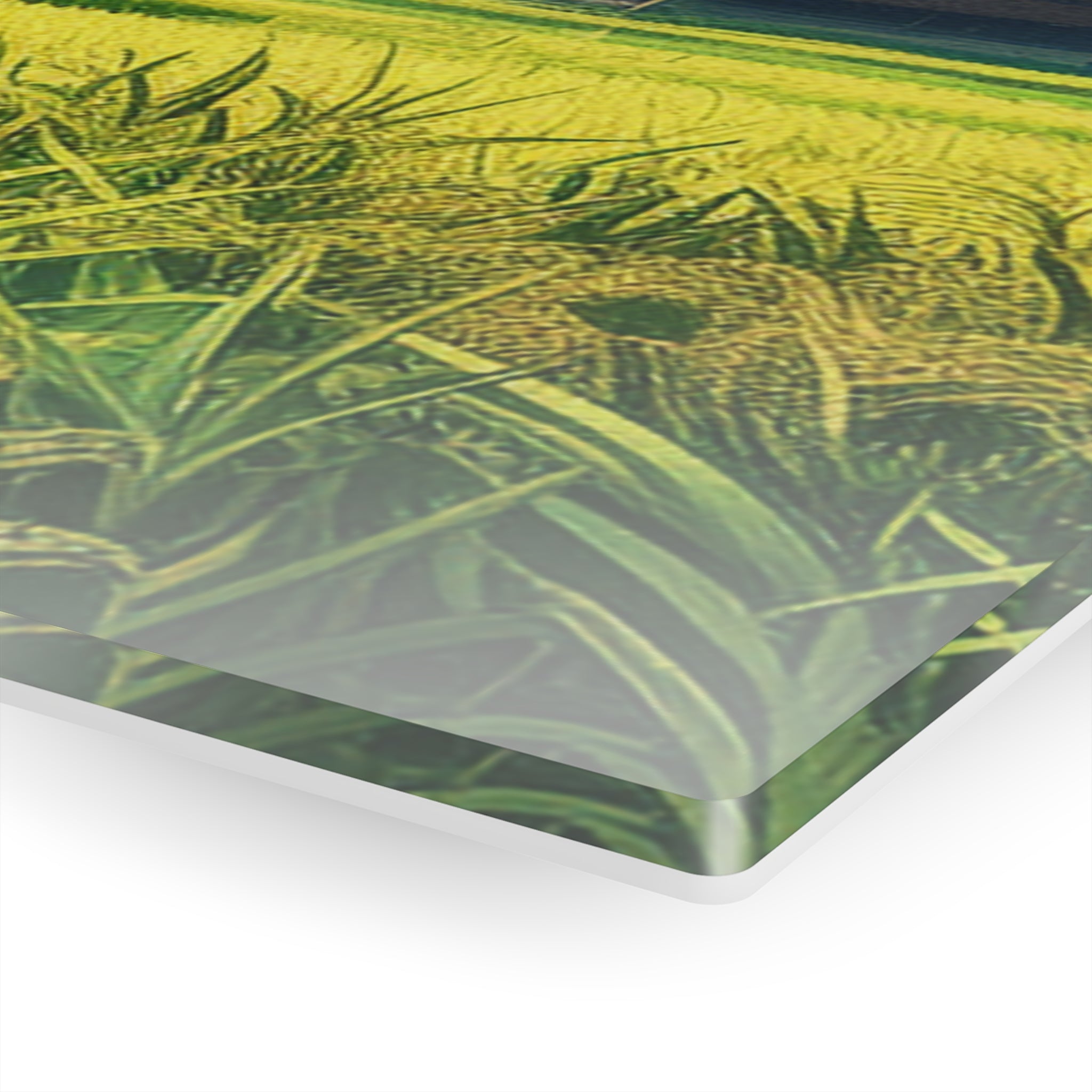 Tranquil Fields Acrylic Print