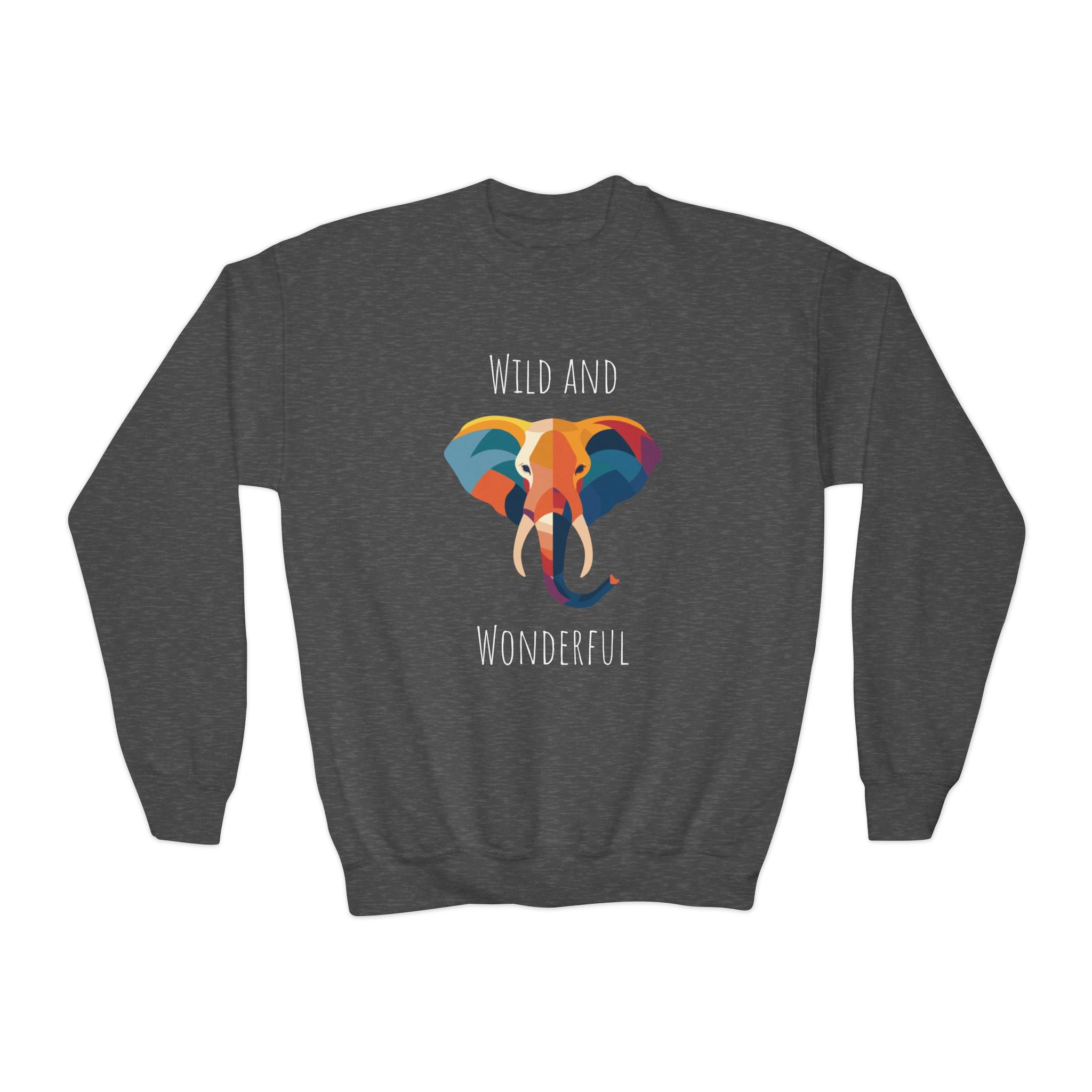 Wild and Wonderful Youth Crewneck Sweatshirt