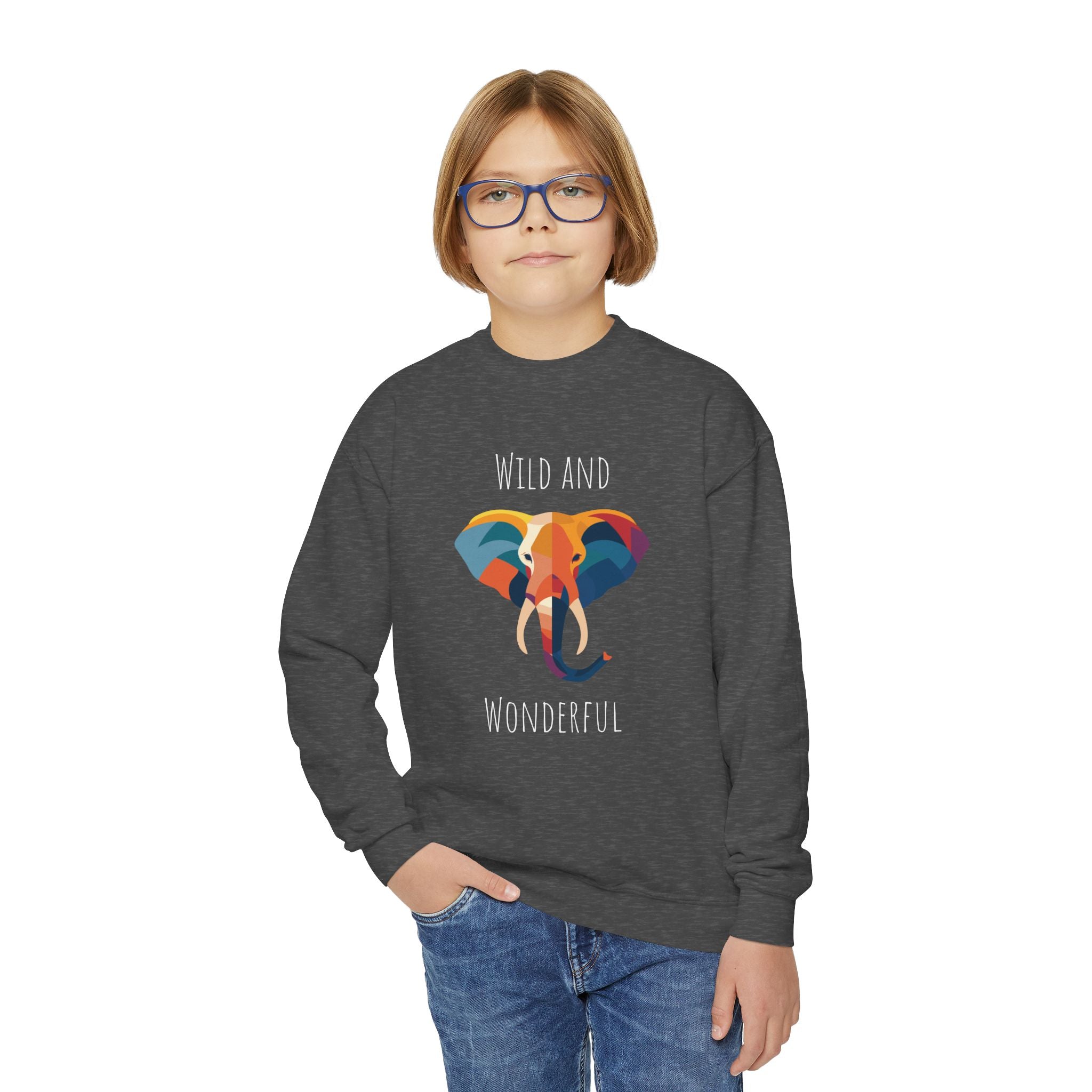 Wild and Wonderful Youth Crewneck Sweatshirt