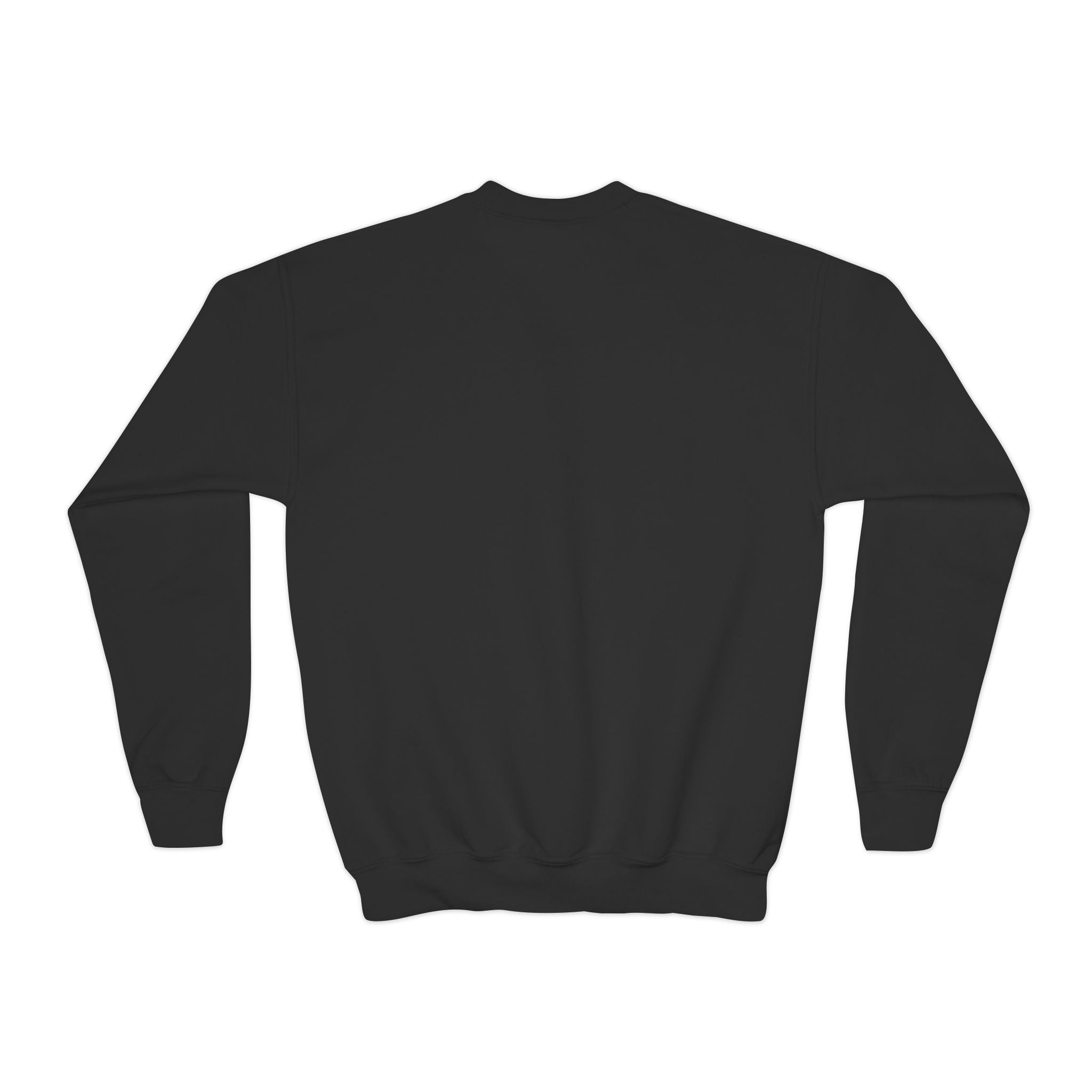 Wild and Wonderful Youth Crewneck Sweatshirt